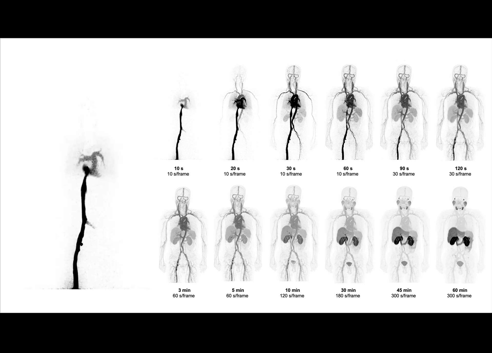 p17-cover Whole-body Dynamic Imaging